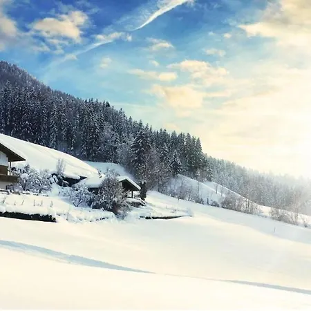 Litzlhof Daire